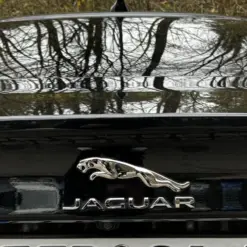 NEU Jaguar SET Emblem Heckdeckel Logo 18cm Heckemblem Rear Badge CHROM