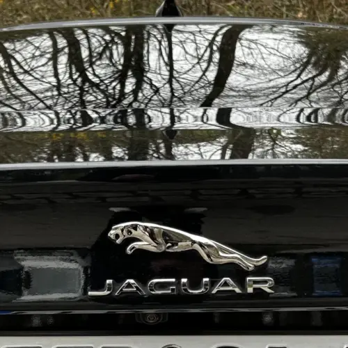 NEU Jaguar SET Emblem Heckdeckel Logo 18cm Heckemblem Rear Badge CHROM